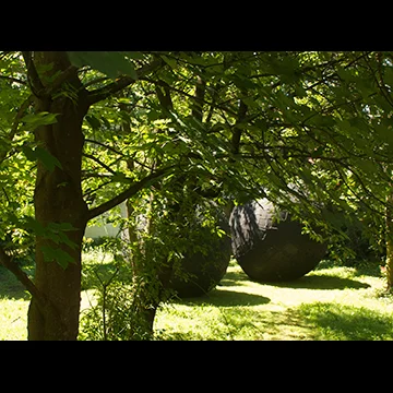 ONE MORNING 2012