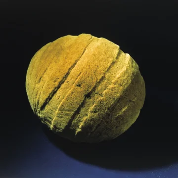 ANIMA B