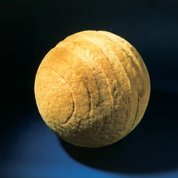 ANIMA C