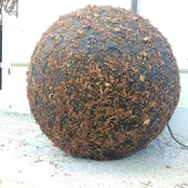 The presence of sphere, photo 5 of 5