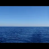 FLOATING DEMOCRACY PROJECT, photo 2 of 4